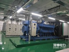 200KW玉柴柴油發(fā)電機(jī)組YC6MK350-D30主要技術(shù)參數(shù)